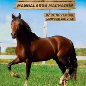 I – COPA DE MARCHA DO CAVALO MANGALARGA MARCHADOR DE SERGIPE