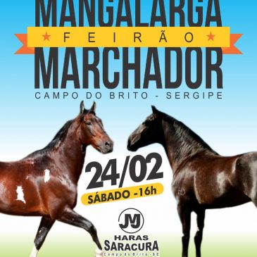 Feirão Mangalarga Machador 2018