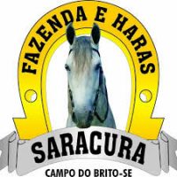 8ª COPA DE MARCHA DO CAVALO MANGALARGA MARCHADOR DE SERGIPE