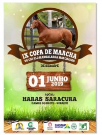 IX Copa do Marcha do Cavalo Mangalarga Marchador de Sergipe