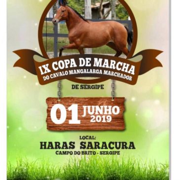 IX Copa do Marcha do Cavalo Mangalarga Marchador