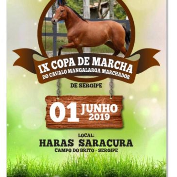 IX Copa do Marcha do Cavalo Mangalarga Marchador de Sergipe