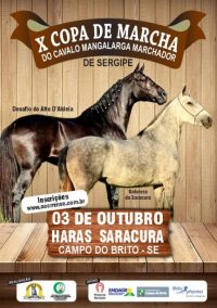 X Copa de Marcha do Cavalo Mangalarga Marchador de Sergipe