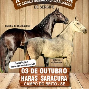 X Copa de Marcha do Cavalo Mangalarga Marchador de Sergipe