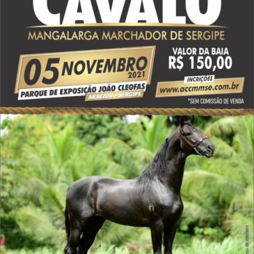 Feirão do Cavalo Mangalarga Marchador de Sergipe