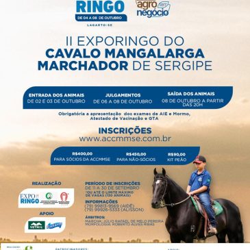 II EXPORINGO DO CAVALO MANGALARGA MARCHADOR DE SERGIPE