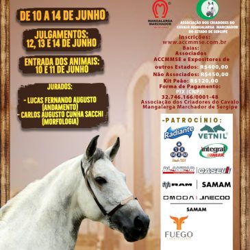 2ª EXPO SERGIPE – 8ª ETAPA CAMPEONATO NORDESTINO DO MANGALARGA MARCHADOR 2025